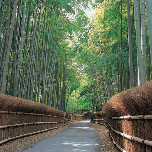 向日市について まちてらすmuko